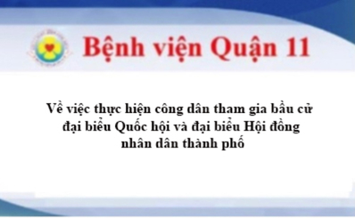 Về việc thực hiện công dân tham gia bầu cử đại biểu Quốc hội và đại biểu Hội đồng nhân dân thành phố